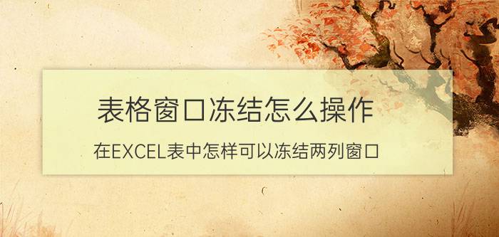 表格窗口冻结怎么操作 在EXCEL表中怎样可以冻结两列窗口？